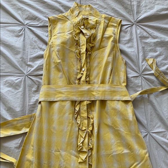 Anthropologie Dresses & Skirts - Blue bird shirting dress